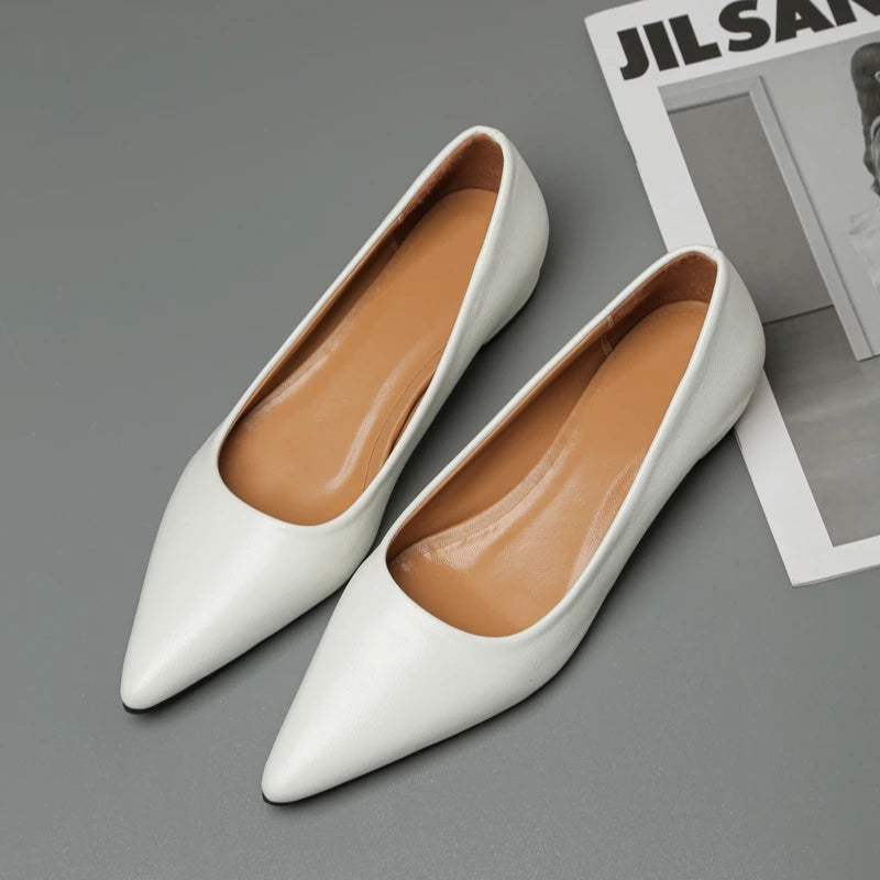 New Pointed Toe Shallow Mouth Square Heel Small Leather Shoes Women's Elegant Fashion High Heels Dress Shoes Zapatos Mujer
