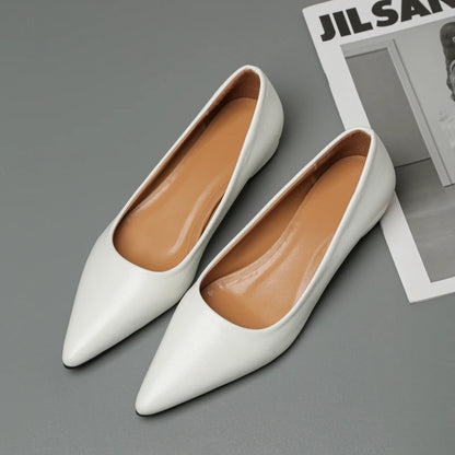 New Pointed Toe Shallow Mouth Square Heel Small Leather Shoes Women's Elegant Fashion High Heels Dress Shoes Zapatos Mujer
