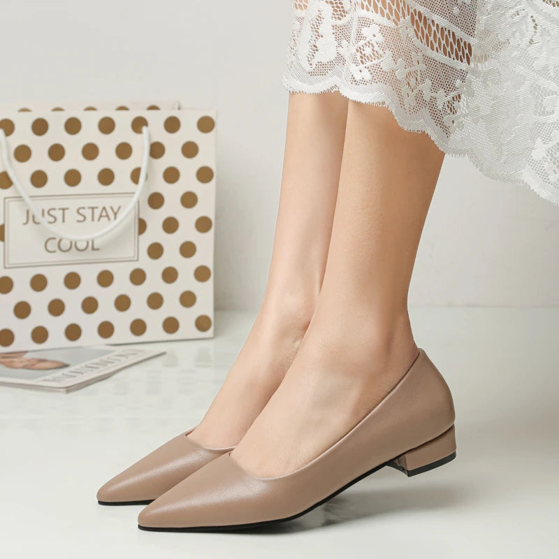 New Pointed Toe Shallow Mouth Square Heel Small Leather Shoes Women's Elegant Fashion High Heels Dress Shoes Zapatos Mujer
